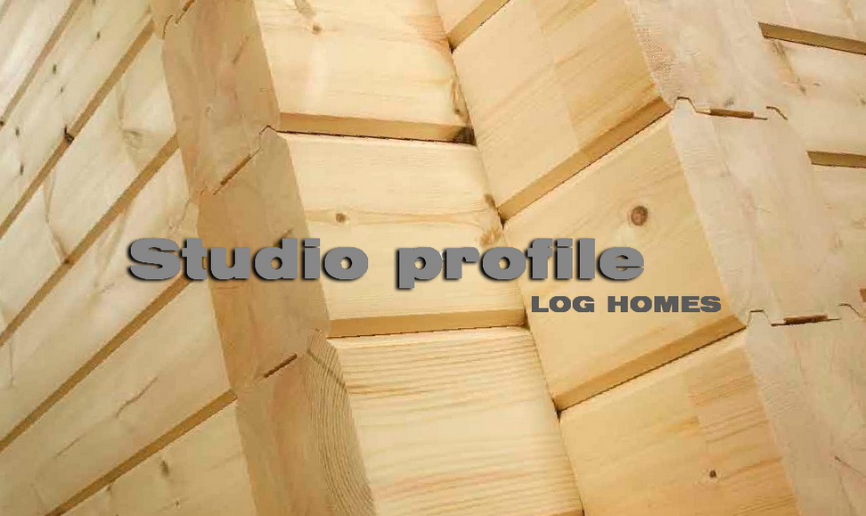 پروفیل چوب لاگ ماسیو