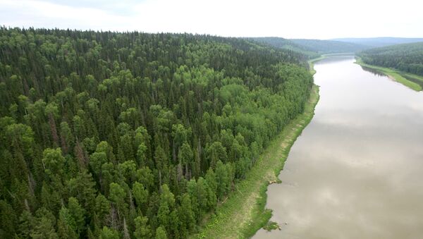 جنگلهای سیبری منبع چوب خانه های چوبی استودیو پروفیل