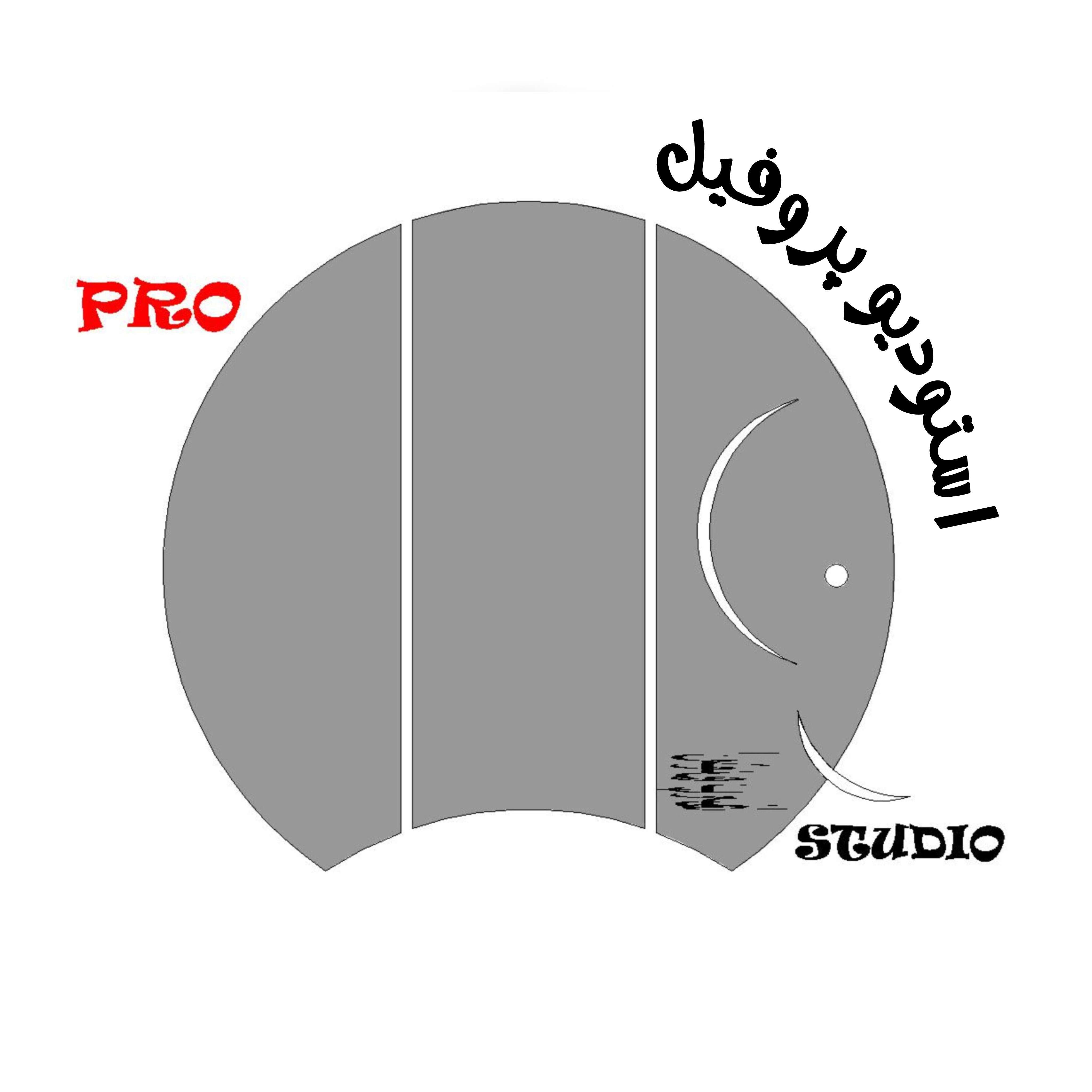استودیو پروفیل 